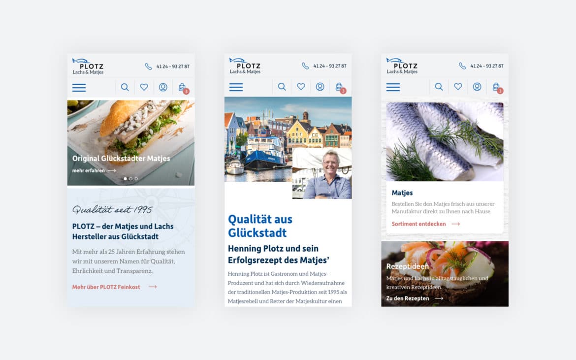 Grafik von Website Relaunch fuer Lachs.de